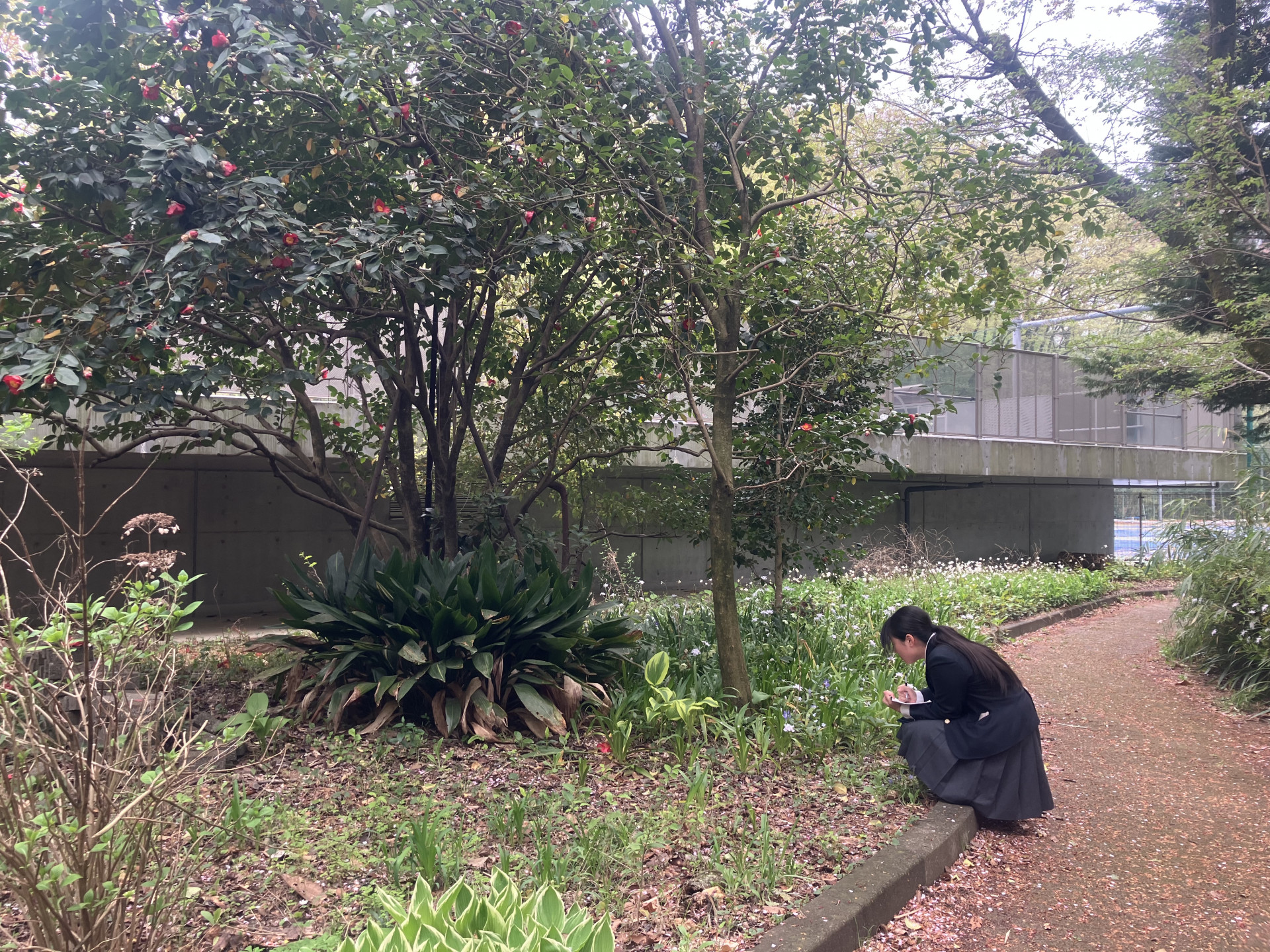 Image - 2026-04-11T082014.244